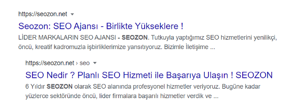meta description nedir